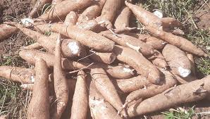 ski - Available for purchase